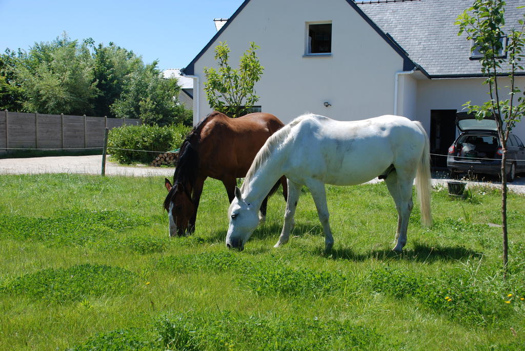 Roulotte Gites O Bien-Etre Massage Spa Sejour Bien-Etre En Hebergement Insolite Roulotte Karantez Ou En Gites Melon Ou Yock A 800 M Des Plages Maison D'Hote Drogou Porspoder Rom bilde