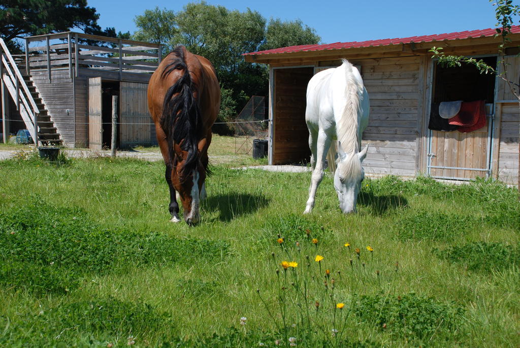 Roulotte Gites O Bien-Etre Massage Spa Sejour Bien-Etre En Hebergement Insolite Roulotte Karantez Ou En Gites Melon Ou Yock A 800 M Des Plages Maison D'Hote Drogou Porspoder Rom bilde