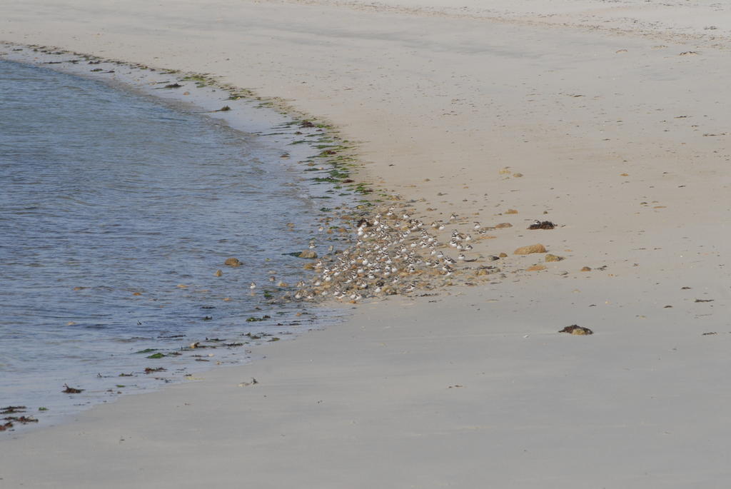Roulotte Gites O Bien-Etre Massage Spa Sejour Bien-Etre En Hebergement Insolite Roulotte Karantez Ou En Gites Melon Ou Yock A 800 M Des Plages Maison D'Hote Drogou Porspoder Eksteriør bilde